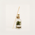 Lemongrass